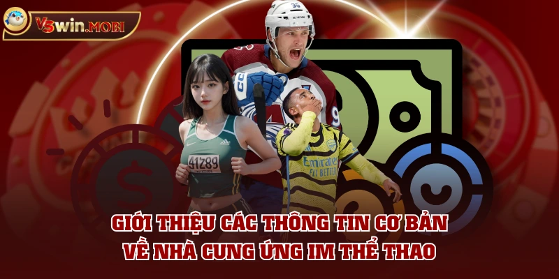 Giới thiệu các thông tin cơ bản về nhà cung ứng IM Thể Thao