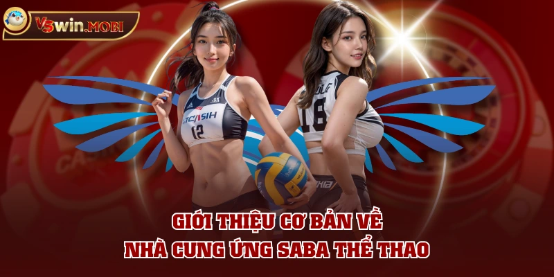 Giới thiệu cơ bản về nhà cung ứng SABA Thể Thao