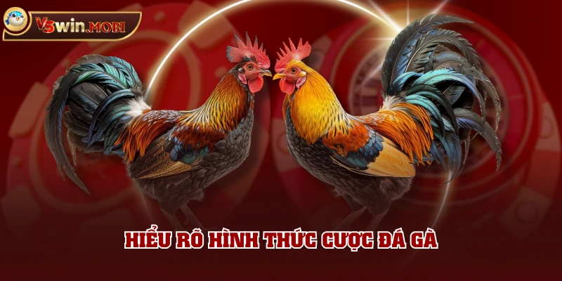Hiểu rõ hình thức cược đá gà