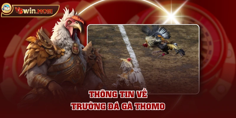Thông tin về trường đá gà Thomo