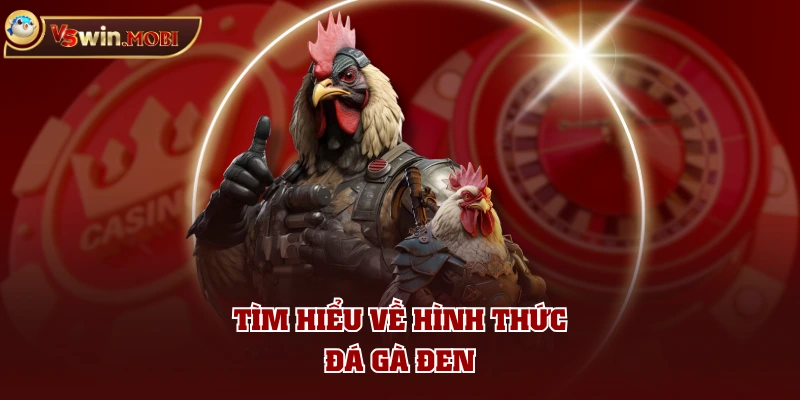 Tìm hiểu về hình thức đá gà đen
