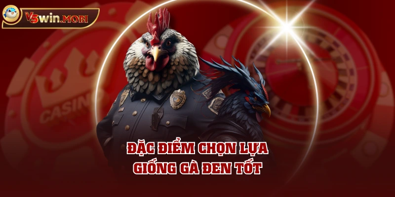 Đặc điểm chọn lựa giống gà đen tốt