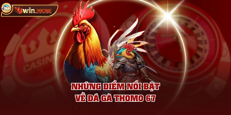 Những điểm nổi bật về đá gà Thomo 67