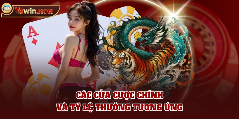 Các cửa cược chính và tỷ lệ thưởng tương ứng