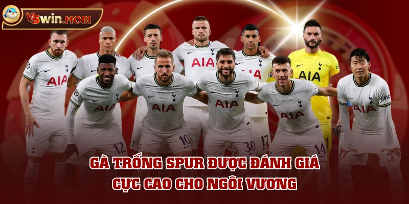 Gà Trống Spur được đánh giá cực cao cho ngôi vương