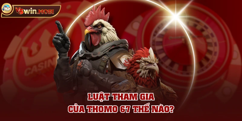 Luật tham gia của Thomo 67 thế nào?