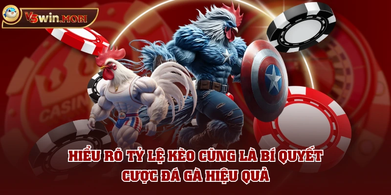 Hiểu rõ tỷ lệ kèo cũng là bí quyết cược đá gà hiệu quả
