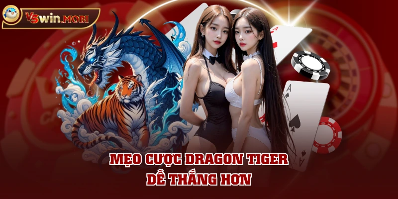 Mẹo cược Dragon Tiger dễ thắng hơn