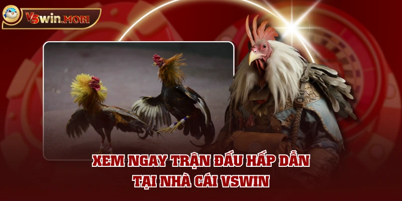 Xem ngay trận đấu hấp dẫn tại nhà cái VSWIN